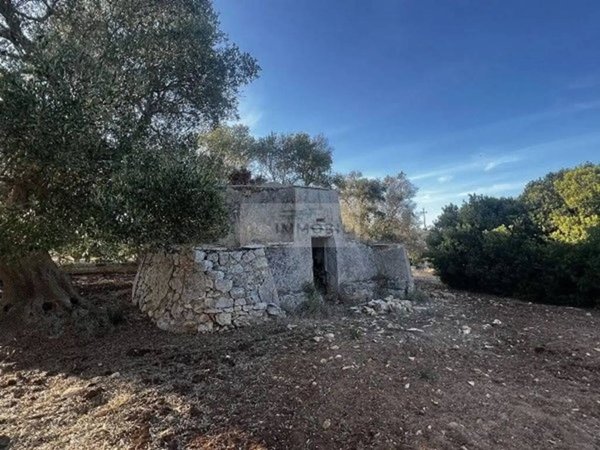 terreno agricolo in vendita a Carovigno