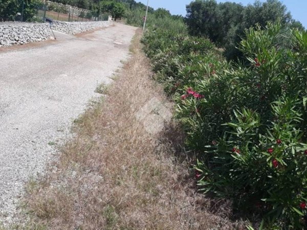 terreno agricolo in vendita a Carovigno