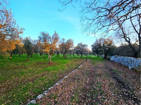 casa indipendente in vendita a Carovigno