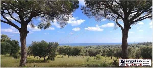 casa indipendente in vendita a Carovigno