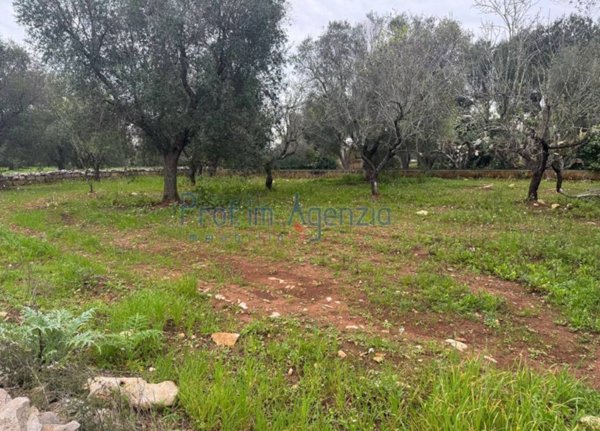 terreno agricolo in vendita a Carovigno in zona Serranova