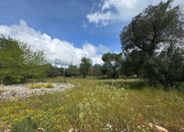 casa indipendente in vendita a Carovigno in zona Serranova