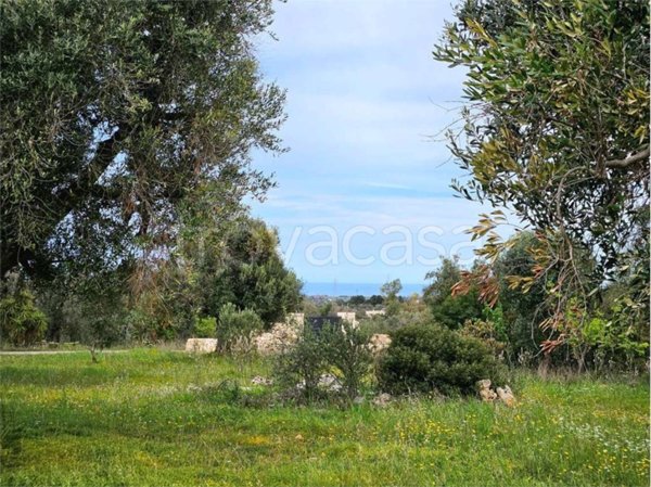 casa indipendente in vendita a Carovigno in zona Serranova