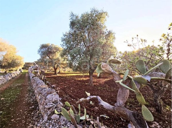 casa indipendente in vendita a Carovigno
