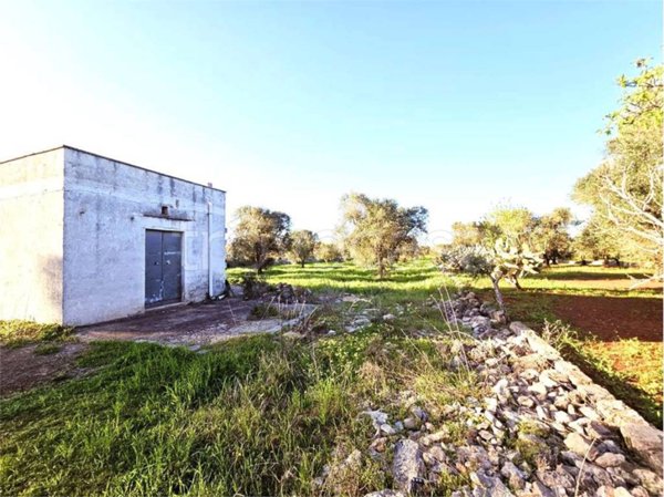 casa indipendente in vendita a Carovigno