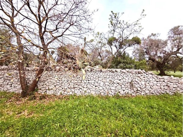 casa indipendente in vendita a Carovigno