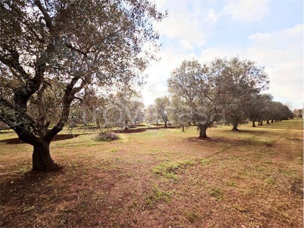 casa indipendente in vendita a Carovigno