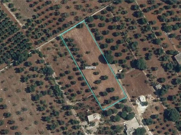 terreno agricolo in vendita a Carovigno