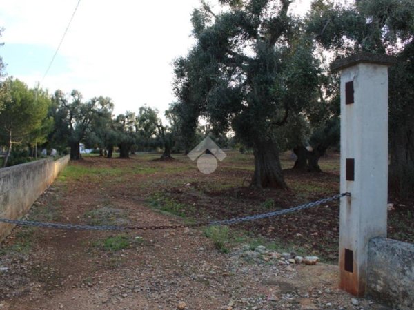 terreno agricolo in vendita a Carovigno