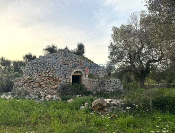 appartamento in vendita a Carovigno