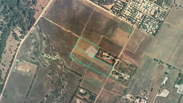 terreno agricolo in vendita a Carovigno