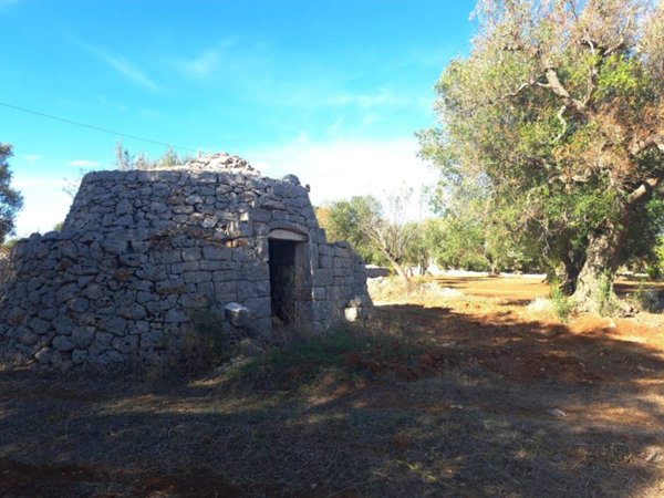casa indipendente in vendita a Carovigno