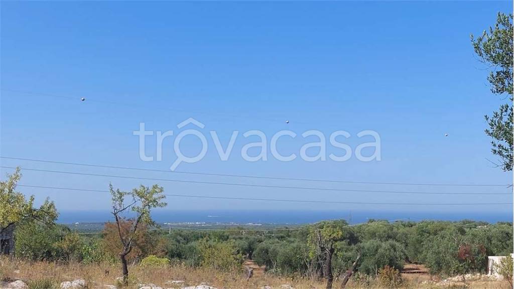 casa indipendente in vendita a Carovigno