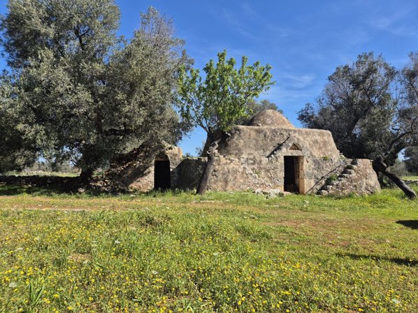 appartamento in vendita a Carovigno