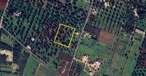 terreno edificabile in vendita a Carovigno
