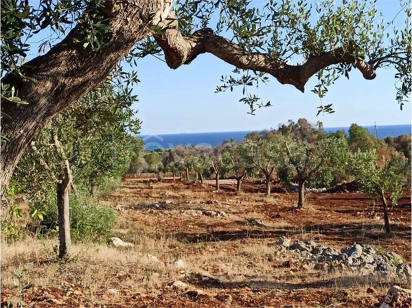 casa indipendente in vendita a Carovigno