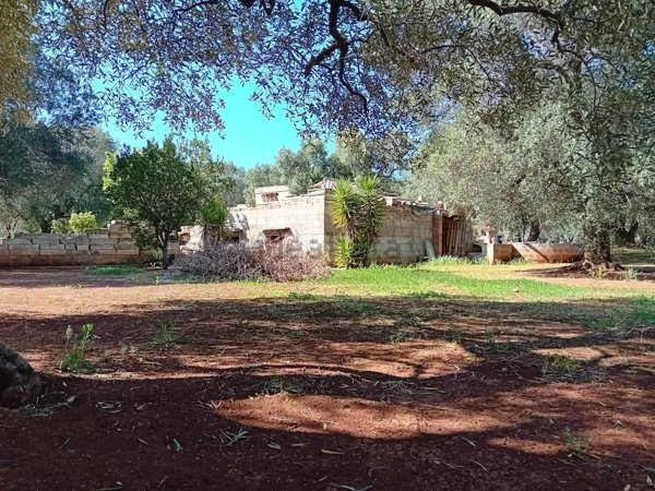 appartamento in vendita a Carovigno