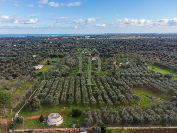 appartamento in vendita a Carovigno