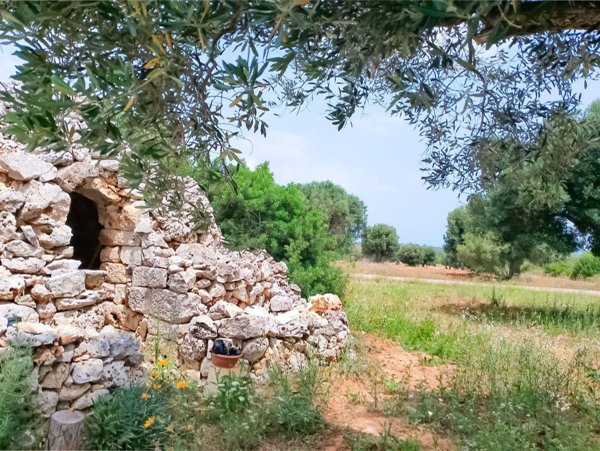 appartamento in vendita a Carovigno