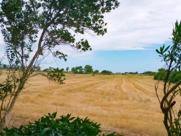 casa indipendente in vendita a Carovigno