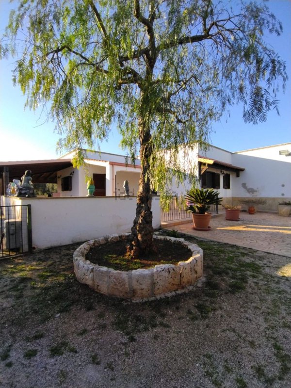 casa indipendente in vendita a Carovigno