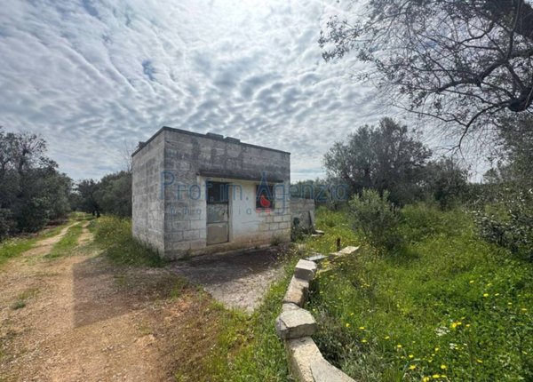 casa indipendente in vendita a Carovigno