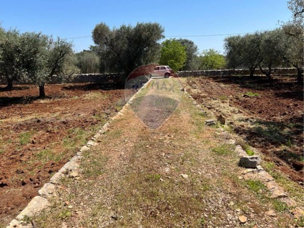 casa indipendente in vendita a Carovigno