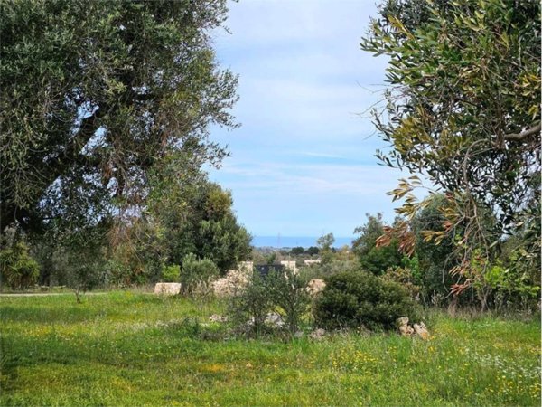 terreno agricolo in vendita a Carovigno in zona Serranova