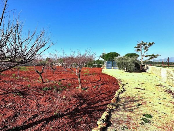 terreno agricolo in vendita a Carovigno