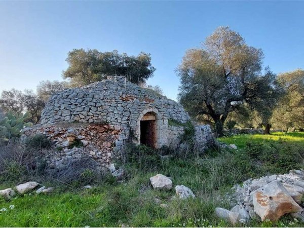 terreno agricolo in vendita a Carovigno