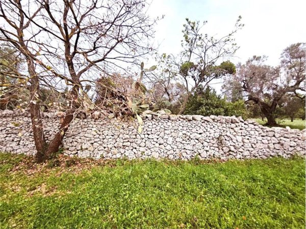 terreno agricolo in vendita a Carovigno