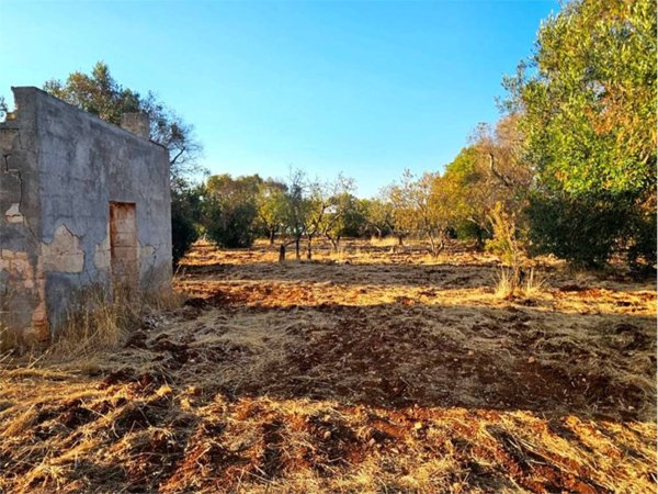 terreno agricolo in vendita a Carovigno