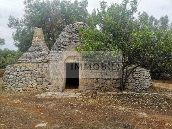 terreno agricolo in vendita a Carovigno