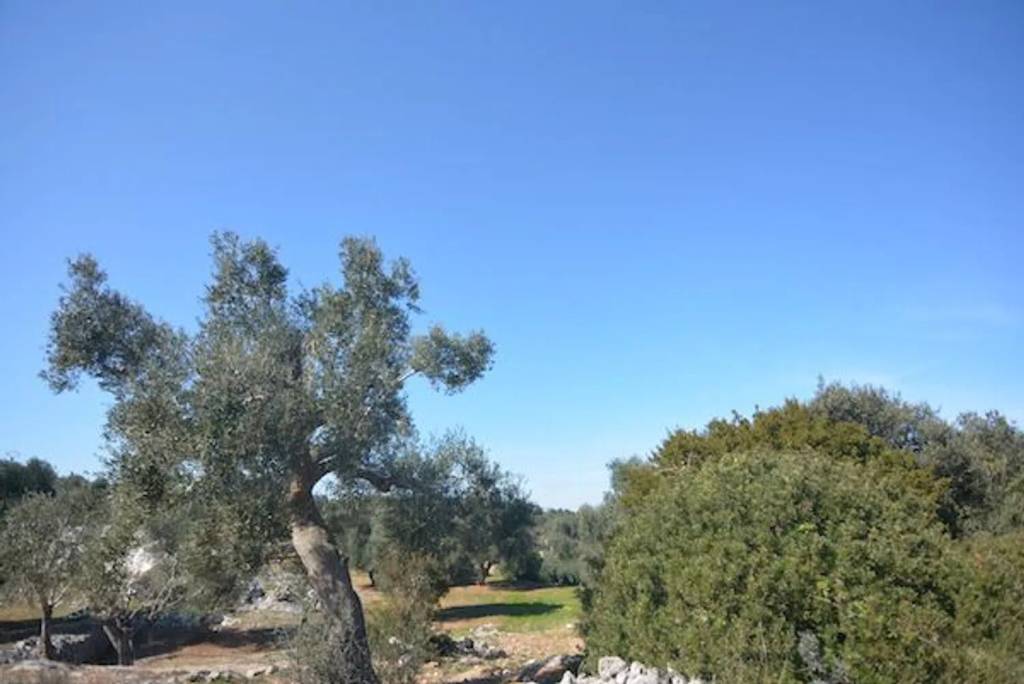 casa indipendente in vendita a Carovigno
