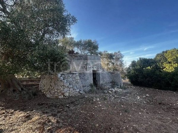 terreno agricolo in vendita a Carovigno