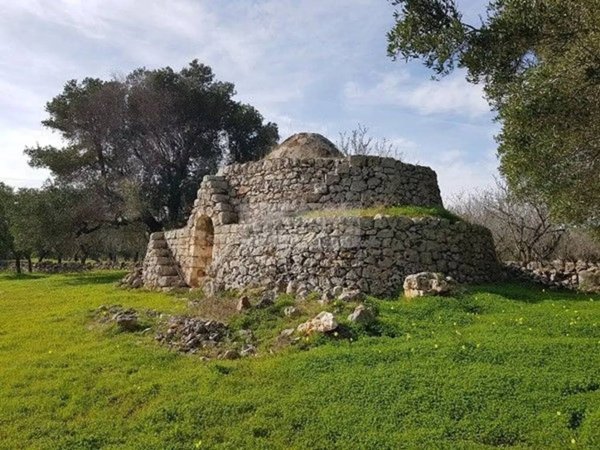 terreno agricolo in vendita a Carovigno