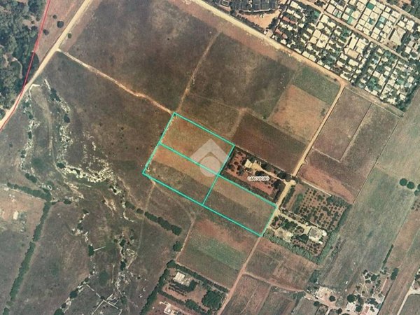 terreno agricolo in vendita a Carovigno