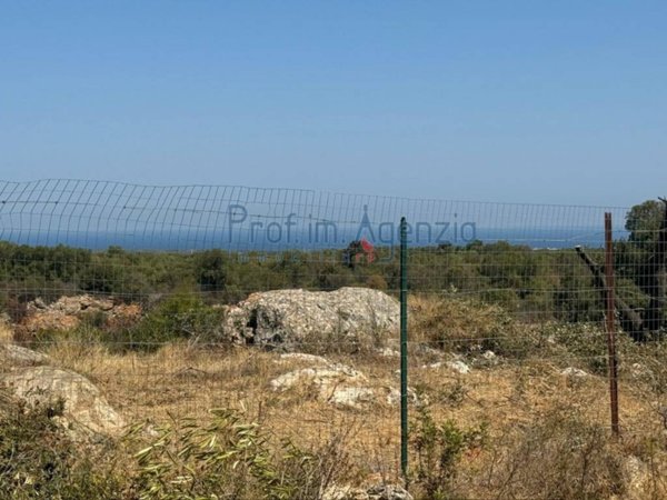 terreno agricolo in vendita a Carovigno