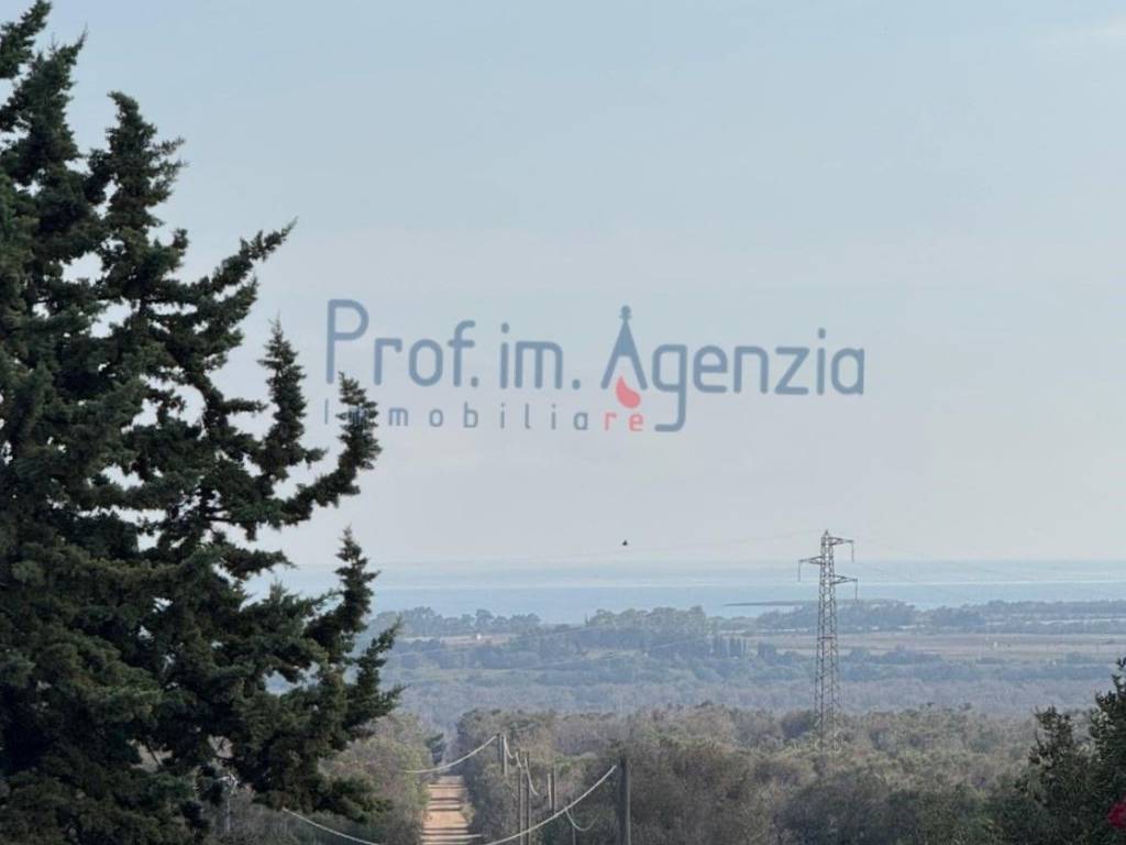 terreno agricolo in vendita a Carovigno