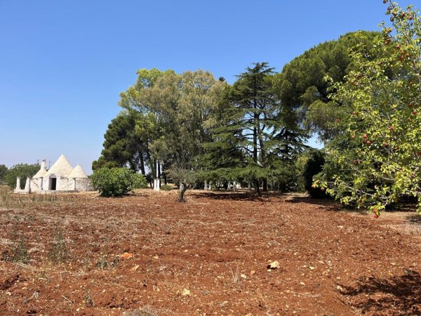 casa indipendente in vendita a Carovigno
