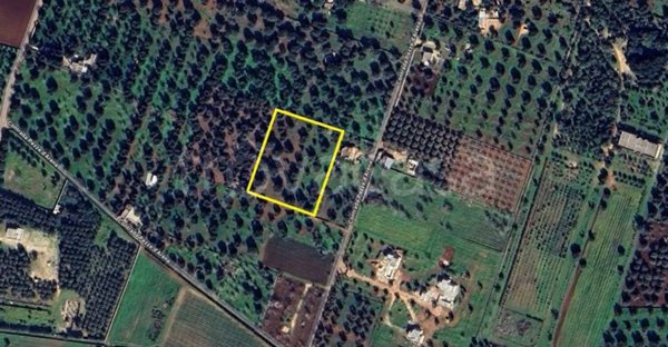 terreno agricolo in vendita a Carovigno