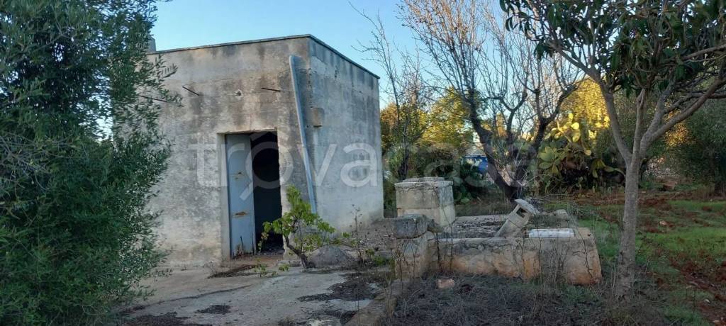 casa indipendente in vendita a Carovigno