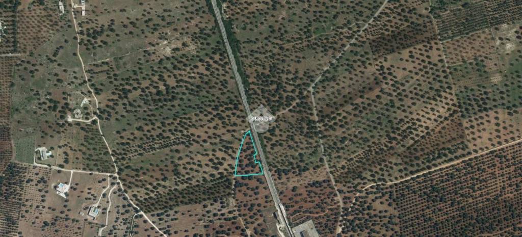 casa indipendente in vendita a Carovigno in zona Serranova