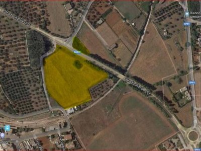 terreno agricolo in vendita a Carovigno