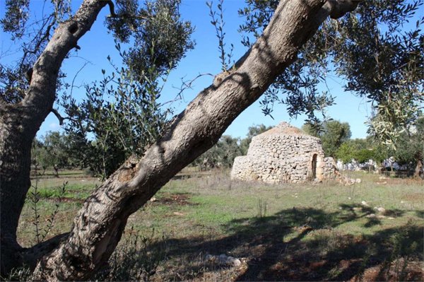 casa indipendente in vendita a Carovigno