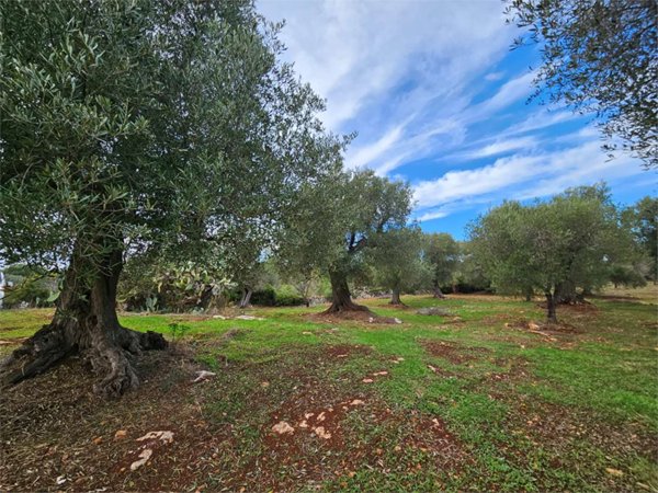 casa indipendente in vendita a Carovigno