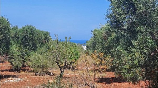 casa indipendente in vendita a Carovigno