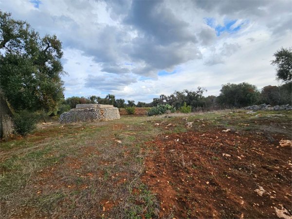 casa indipendente in vendita a Carovigno