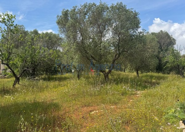 casa indipendente in vendita a Carovigno in zona Serranova