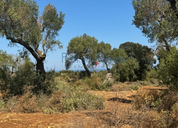 casa indipendente in vendita a Carovigno